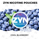 ZYN Nicotine Pouches - Cool Blueberry