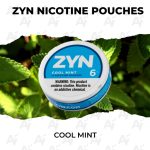 Zyn Nicotine Pouches - Cool Mint (6mg)