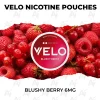 VELO Blushy Berry 6mg nicotine pouch can on raspberries and redcurrants