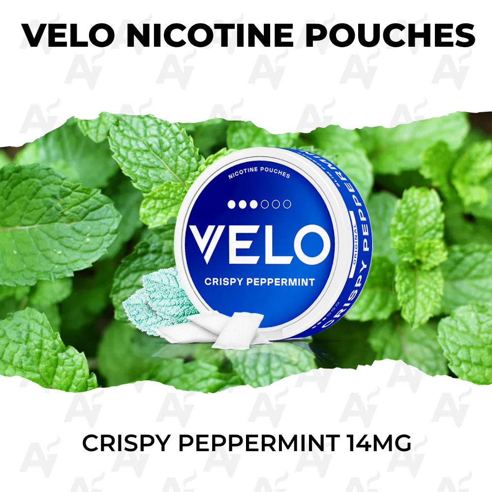 VELO Crispy Peppermint 14mg nicotine pouch can on fresh mint leaves