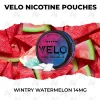 VELO Wintry Watermelon 14mg nicotine pouch can on juicy watermelon slices