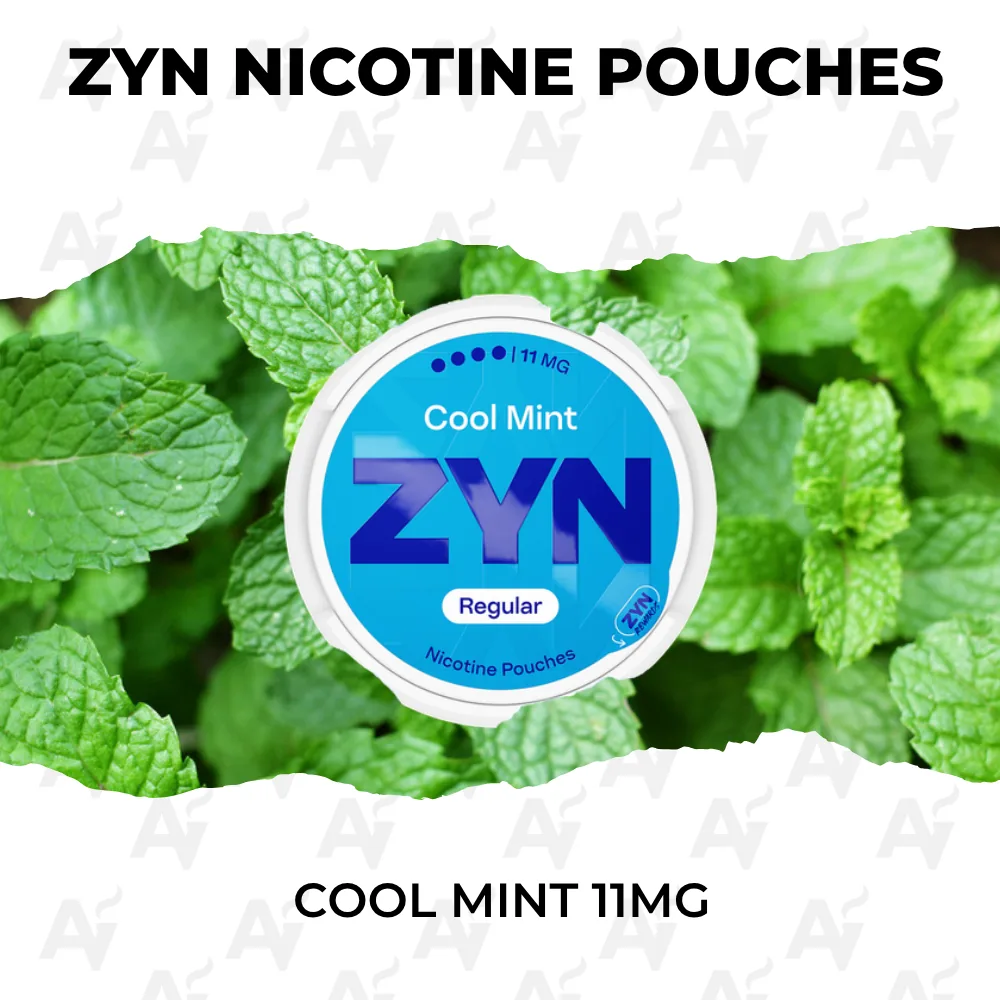 ZYN Cool Mint 11mg nicotine pouches can with fresh mint leaves